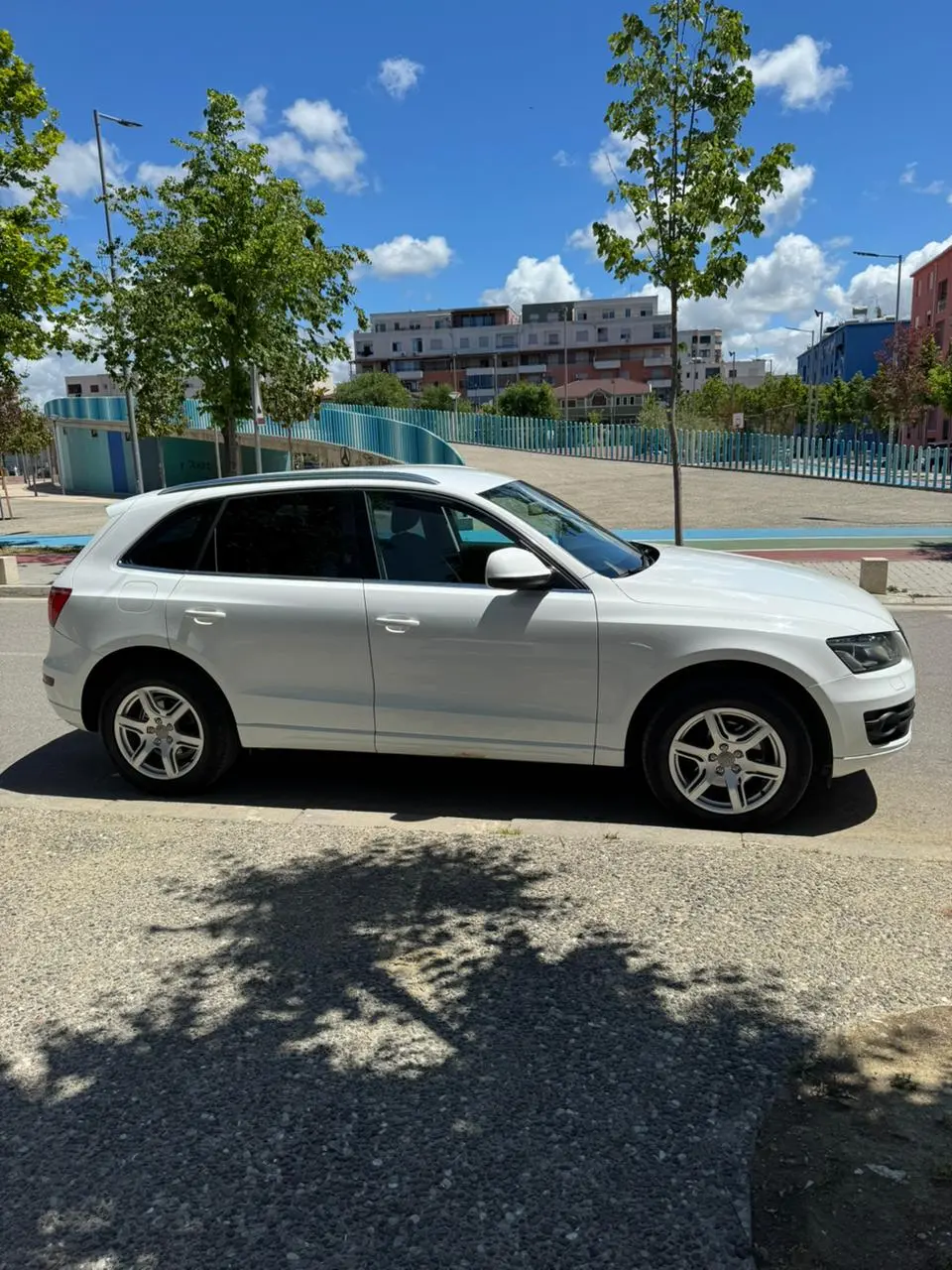 Audi Q5 2010